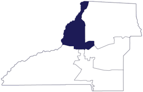 Leon County District 03